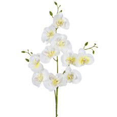 Imagem de HASTE DECPRATIVA DE ORQUÍDEA PHALAENOPSIS CREME EM PLÁSTICO MOLDÁVEL - GRILLO - Grillo Ltda
