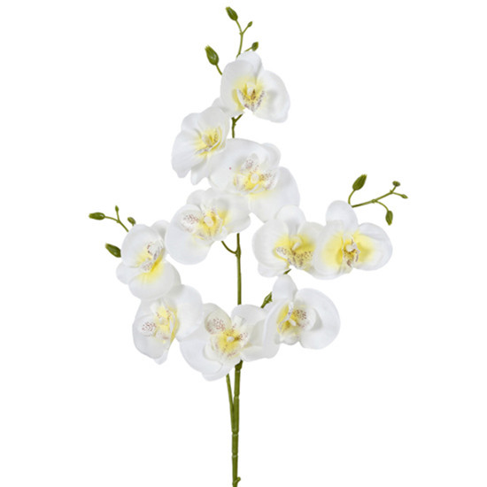 Imagem HASTE DECPRATIVA DE ORQUÍDEA PHALAENOPSIS CREME EM PLÁSTICO MOLDÁVEL - GRILLO