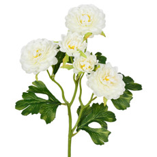 Imagem de HASTE PERMAMENTE DECORATIVA DE CAMÉLIA CREME EM PLÁSTICO MOLDÁVEL 50X10 CM - Grillo Ltda