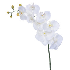 Imagem de HASTE DECORATIVA DE ORQUÍDEA BRANCA EM PLÁSTICO MOLDÁVEL 103X16 CM - GRILLO - Grillo Ltda