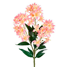 Imagem de HASTE PERMANENTE DE ORQUÍDEA SILVESTRE SALMÃO EM PLÁSTICO 81X27 CM - GRILLO - Grillo Ltda