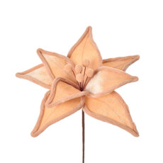 Imagem de HASTE DECORATIVA MOLDÁVEL BICO DE PAPAGAIO BEGE 27X28 CM - GRILLO 57304 - Grillo Ltda