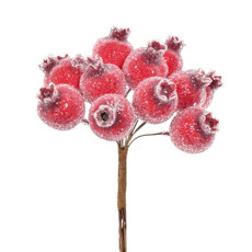 Imagem de HASTE DECORATIVA DE ROMÃS VERMELHAS EM PLÁSTICO MOLDÁVEL 12X10 CM - GRILLO 57205 - Grillo Ltda