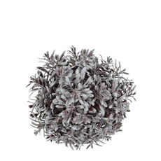 Imagem de BOLA DE GRAMA SILVESTRE LAVANDA DECORATIVA PERMANENTE 12X12 CM - GRILLO - Grillo Ltda
