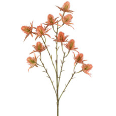 Imagem de HASTE DE BOTÕES SILVESTRE LARANJA E VERDE EM PLÁSTICO MOLDÁVEL 65X15 CM - GRILLO - Grillo Ltda
