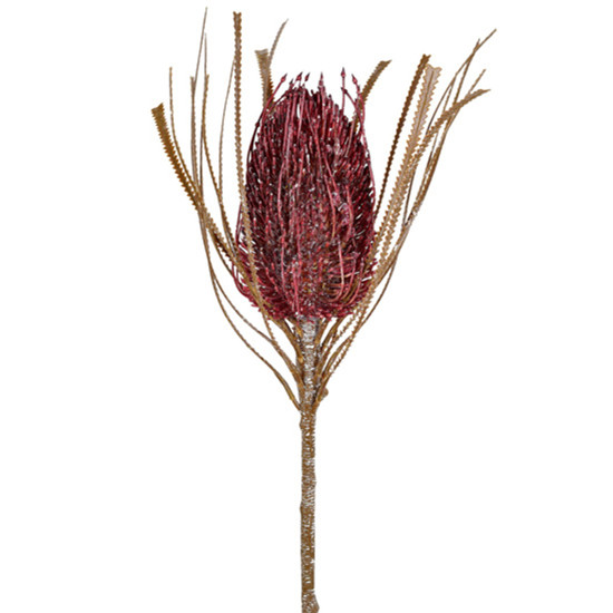Imagem HASTE PERMANENTE DE PROTEA DO CAMPO ROSA ESCURO EM PLÁSTICO MOLDÁVEL 65X14CM GRILLO