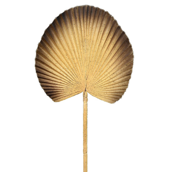 Imagem HASTE DECORATIVA FOLHA DE PALMEIRA LEQUE AMARELO EM PLÁSTICO MOLDÁVEL 54X25 CM