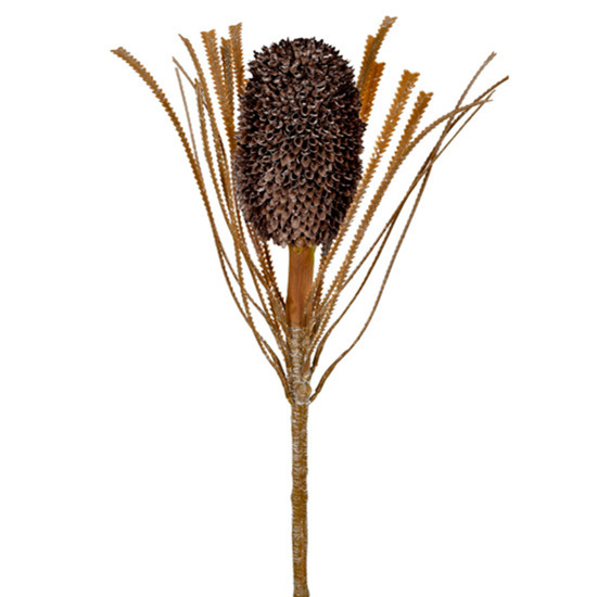 Imagem HASTE DECORATIVA PERMANENTE DE PROTEA CAFÉ EM PLÁSTICO MOLDÁVEL 70X9 CM - GRILLO