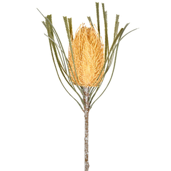 Imagem HASTE PERMANENTE DE PROTEA DO CAMPO BEGE EM PLÁSTICO MOLDÁVEL 65X14 CM - GRILLO