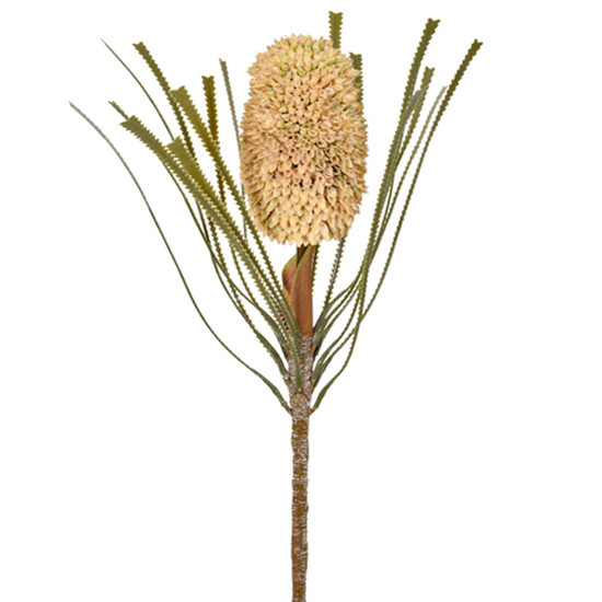 Imagem HASTE DECORATIVA PERMANENTE DE PROTEA BEGE EM PLÁSTICO MOLDÁVEL 70X9 CM - GRILLO