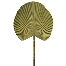 Imagem de HASTE DECORATIVA FOLHA DE PALMEIRA LEQUE VERDE EM PLÁSTICO MOLDÁVEL 54X25 CM - Grillo Ltda