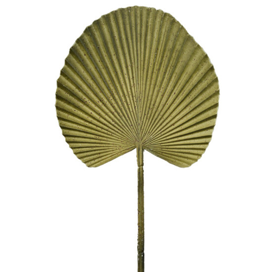 Imagem HASTE DECORATIVA FOLHA DE PALMEIRA LEQUE VERDE EM PLÁSTICO MOLDÁVEL 54X25 CM