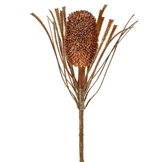 Imagem HASTE DECORATIVA PERMANENTE DE PROTEA MARROM EM PLÁSTICO MOLDÁVEL 70X9 CM - GRILLO