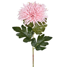 Imagem de HASTE PERMANENTE DE CRISÂNTEMO AGULHA ROSA EM PLÁSTICO E CETIM 75X19 CM - GRILLO - Grillo Ltda