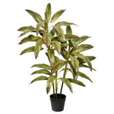 Imagem de PLANTA DECORATIVA DRACENA COM FOLHAGEM VERDE OUTONO EM PLÁSTICO TOQUE REAL - GRILLO - Grillo Ltda