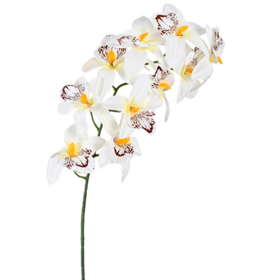 Imagem HASTE DECORATIVA EM PLÁSTICO MOLDÁVEL DE CYMBIDIUM BRANCO 71X13 CM - GRILLO