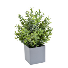 Imagem de ARRANJO DECORATICO DE GRAMA VERDE CLARO EM PLÁSTICO 20X11 CM - GRILLO - Grillo Ltda