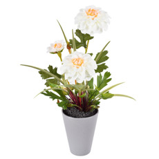 Imagem de ARRANJO DECORATIVO DE DÁLIAS BRANCAS EM PLÁSTICO COM POTE EM MELAMINA 33X9CM GRILLO - Grillo Ltda