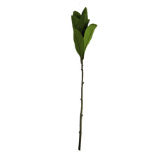 Imagem de HASTE FOLHAGEM VERDE LONGA DECORATIVA EM PLÁSTICO 85X10 CM - GRILLO 58404 - Grillo Ltda
