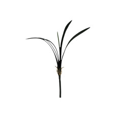 Imagem de HASTE DE FOLHAGEM PERMANENTE DECORATIVA VERDE 48X5 CM - GRILLO 58973 - Grillo Ltda