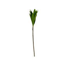 Imagem de HASTE FOLHAGEM VERDE LONGA DECORATIVA EM PLÁSTICO 62X5 CM - GRILLO 58403 - Grillo Ltda