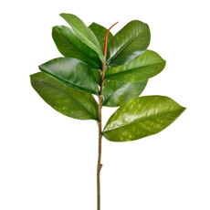 Imagem de HASTE DECORATIVA DE FOLHAS DE CARVALHO VERDE EM PLÁSTICO MOLDÁVEL 58X17 CM - GRILLO - Grillo Ltda