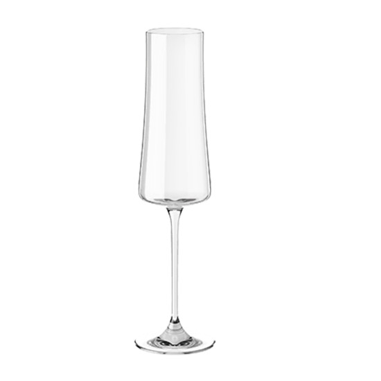 Imagem TAÇA PLEASURE PARA ESPUMANTE 210ML EM CRISTAL 26X7X7 CM - HAUS CONCEPT