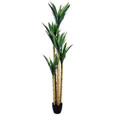 Imagem de PLANTA DRACENA DECORATIVA DE FOLHAS VERDE EM PLÁSTICO NO POTE 210X50 CM - GRILLO - Grillo Ltda
