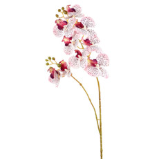 Imagem de HASTE DE ORQUÍDEA PHALAENOPSIS 3D CREME ROSA TOQUE REAL EM PLÁSTICO MOLDÁVEL - GRILLO - Grillo Ltda