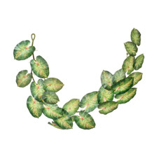 Imagem de TIRA DE FOLHAS VERDE OUTONO DECORATIVAS EM PLÁSTICO 150X23 CM - GRILLO - Grillo Ltda
