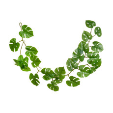 Imagem de TIRA DE FOLHAS VERDE CLARO DECORATIVAS EM PLÁSTICO 150X23 CM - GRILLO - Grillo Ltda