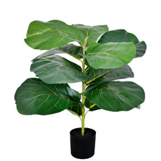 Imagem de PLANTA DECORATIVA FICUS LIRATA FOLHAS VERDE EM PLÁSTICO NO POTE EM MELAMINA - GRILLO - Grillo Ltda