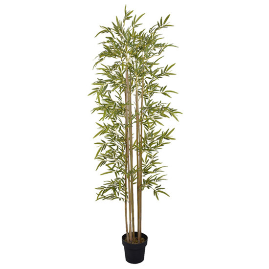 Imagem PLANTA BAMBÚ IMPERIAL VERDE COM TRONCO NATURAL NO POTE EM PLÁSTICO 195X60CM - GRILLO