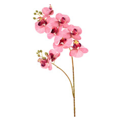 Imagem de HASTE DECORATIVA ORQUÍDEA PHALAENOPSIS TOQUE REAL ROSA EM PLÁSTICO MOLDÁVEL - GRILLO - Grillo Ltda