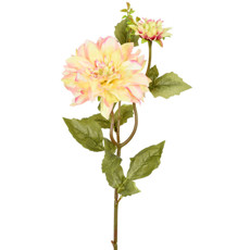 Imagem de HASTE PERMANENTE DE DÁLIA DO CAMPO ROSA CREME EM PLÁSTICO MOLDÁVEL 68X16CM - GRILLO - Grillo Ltda