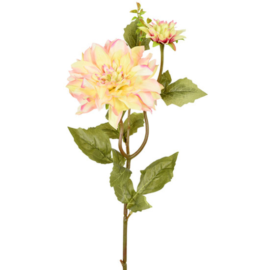 Imagem HASTE PERMANENTE DE DÁLIA DO CAMPO ROSA CREME EM PLÁSTICO MOLDÁVEL 68X16CM - GRILLO