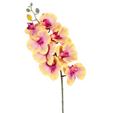Imagem de HASTE DECORATIVA DE ORQUÍDEA PHALAENOPSIS AMARELA EM PLÁSTICO MOLDÁVEL - GRILLO - Grillo Ltda