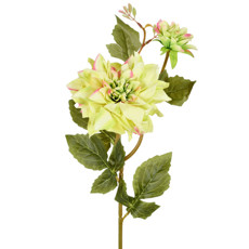 Imagem de HASTE PERMANENTE DECORATIVA DE DÁLIA VERDE EM PLÁSTICO MOLDÁVEL 65X17CM - GRILLO - Grillo Ltda