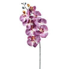 Imagem de HASTE DECORATIVA DE ORQUÍDEA PHALAENOPSIS MALVA EM PLÁSTICO MOLDÁVEL - GRILLO - Grillo Ltda