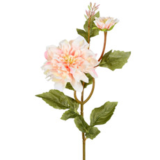 Imagem de HASTE PERMANENTE DECORATIVA DE DÁLIA BEGE EM PLÁSTICO MOLDÁVEL 65X17CM - GRILLO - Grillo Ltda