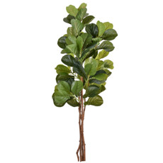 Imagem de PLANTA DECORATIVA FICUS MACROPHYLLA VERDE EM PLÁSTICO E 4 TRONCOS NATURAIS - GRILLO - Grillo Ltda
