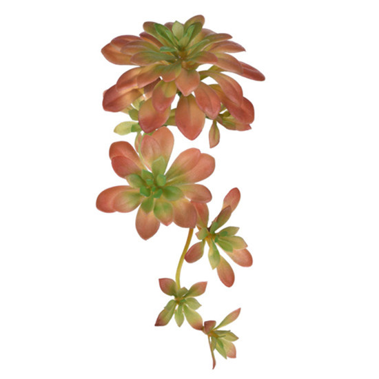 Imagem PLANTA SUCULENTA ECHEVERIA VERDE OUTONO DECORATIVA EM PLÁSTICO 12X30X14CM - GRILLO