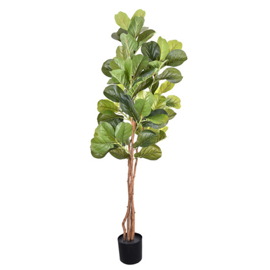 Imagem PLANTA DECORATIVA FICUS LYRATA VERDE EM PLÁSTICO E 4 TRONCOS NATURAIS - GRILLO
