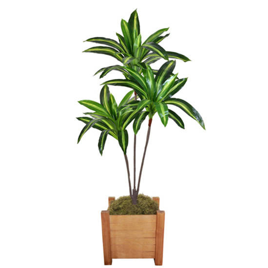 Imagem PLANTA DRACENA VERDE DECORATIVA EM PLÁSTICO COM FOLHAS MOLDÁVEIS 120X80CM - GRILLO