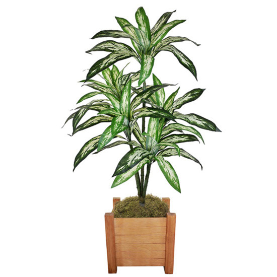 Imagem PLANTA DIFENBACHIA TROPICAL VERDE DECORATIVA COM FOLHAS PLÁSTICAS MOLDÁVEIS - GRILLO