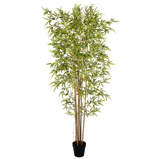 Imagem PLANTA BAMBU DECORATIVO 4 HASTES REAIS E FOLHAGEM VERDE EM PLÁSTICO 210X110CM GRILLO