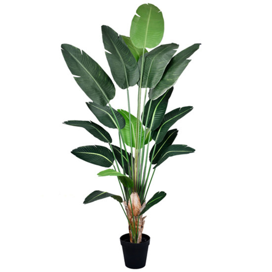 Imagem PLANTA DECORATIVA STRELITZIA VERDE EM PLÁSTICO E ESTRUTURA MOLDÁVEL - GRILLO