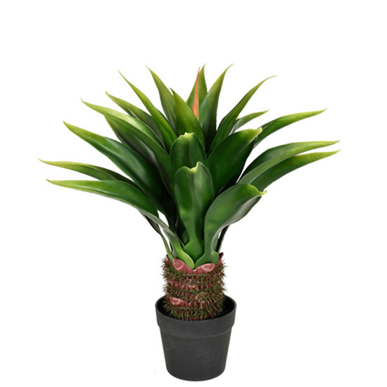 Imagem PLANTA BABOSA DECORATIVA VERDE EM PLÁSTICO 65X59CM - GRILLO