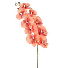 Imagem de HASTE DECORATIVA DE ORQUÍDEA PHALAENOPSIS VELUDO LARANJA EM PLÁSTICO - GRILLO - Grillo Ltda