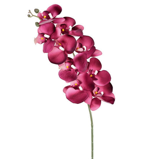 Imagem HASTE DECORATIVA DE ORQUÍDEA PHALAENOPSIS VELUDO BEAUTY EM PLÁSTICO 97X12CM - GRILLO